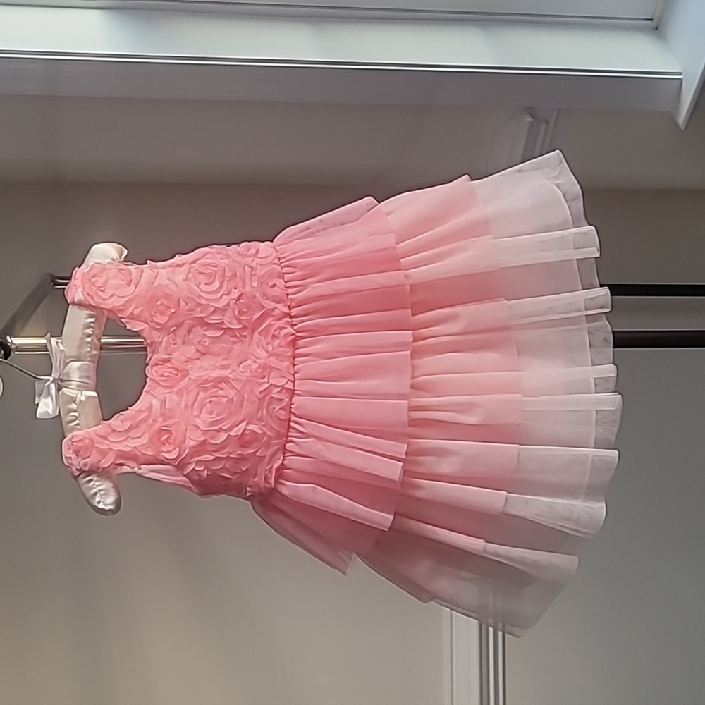 Bonnie Jean exclusive 2T Pink Dress🩷